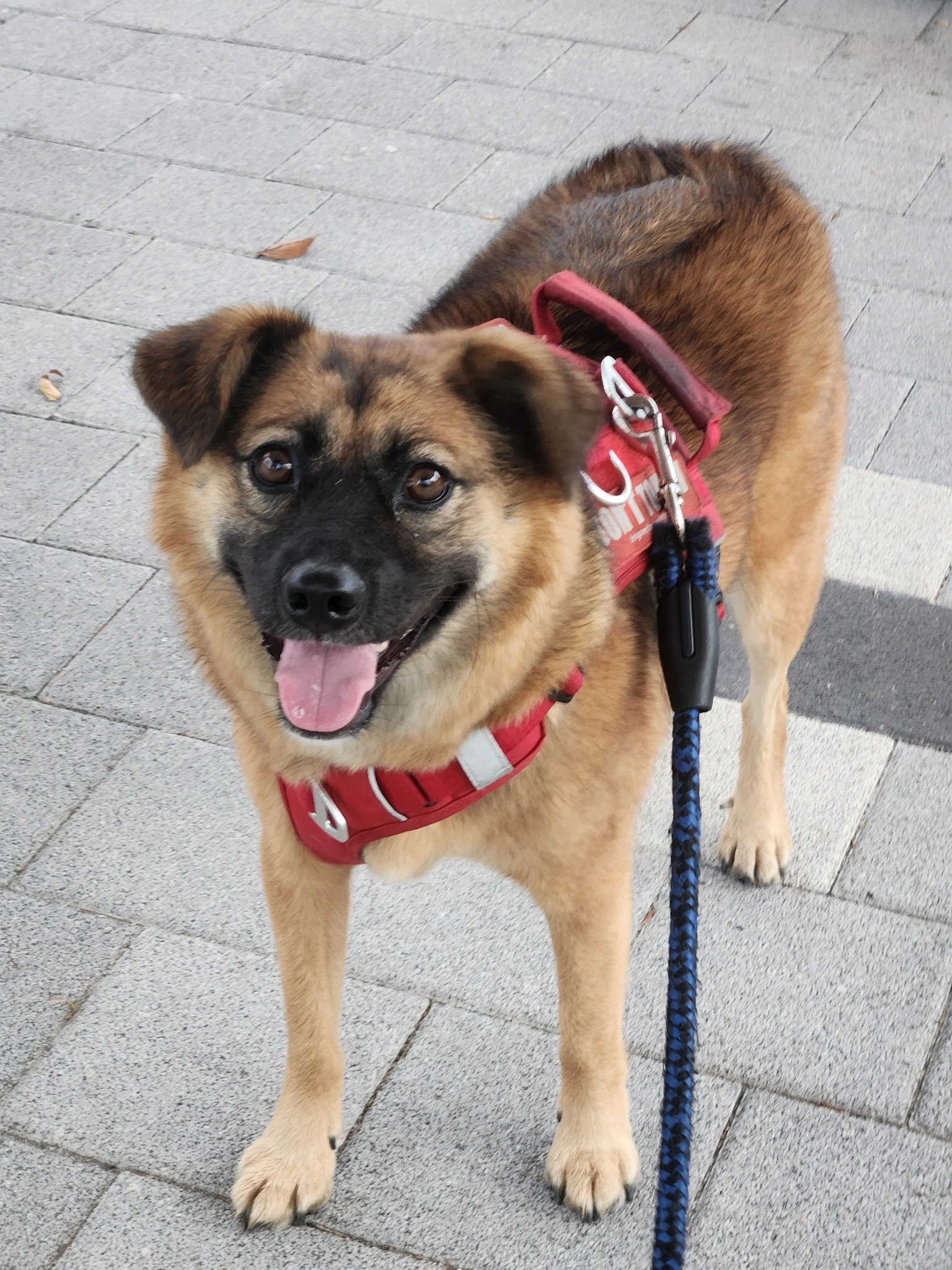 Show enough of the whole body